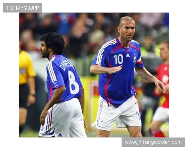 多梅内克回忆齐达内事件并谈国脚选拔背后的思考与决策